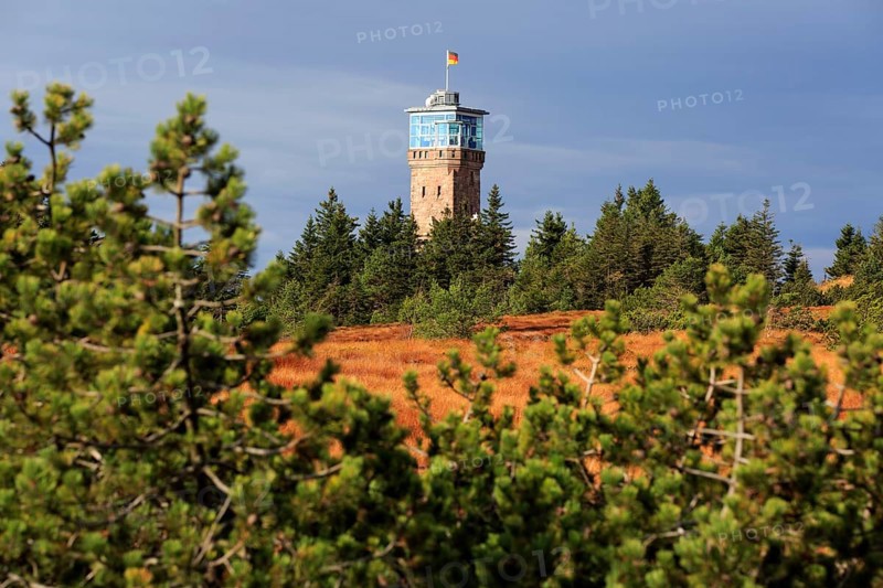 Black Forest National Park