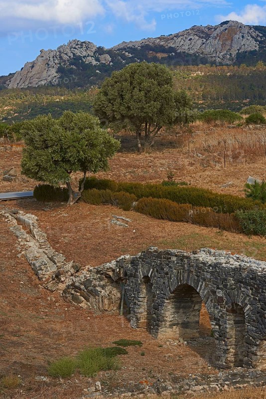 Bolonia