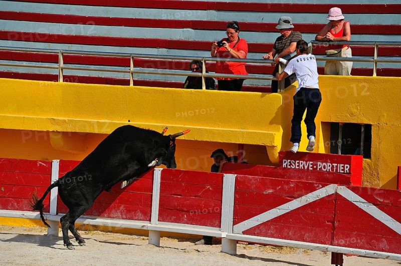 Bullfight