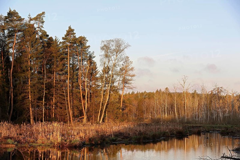 Moorsee