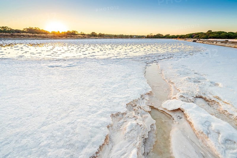 Salt production