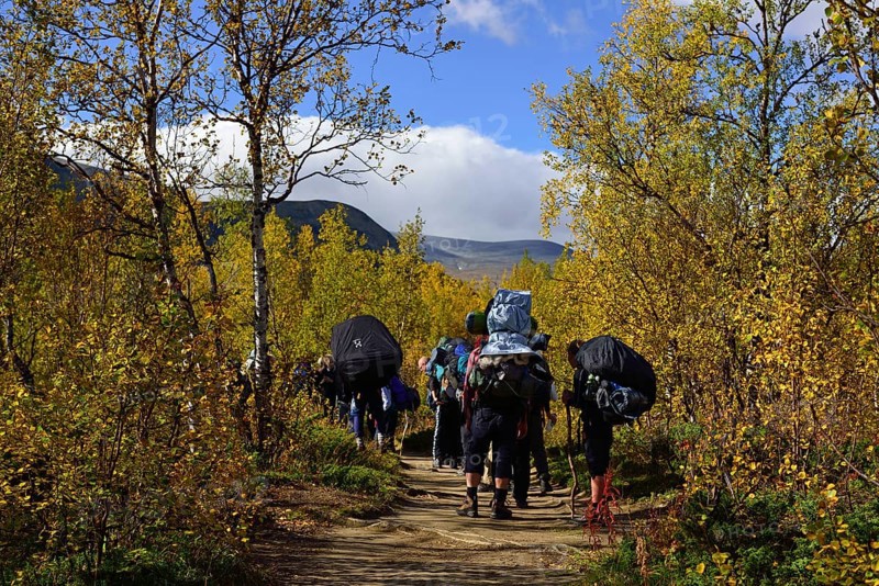 Trekking Nikkaluokta