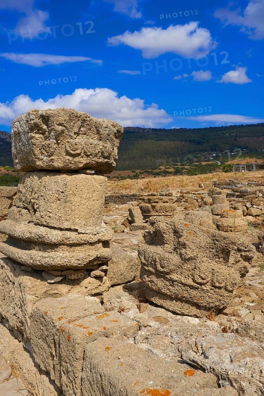 Bolonia