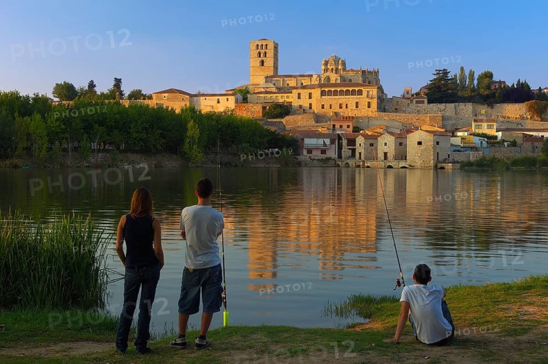 Zamora