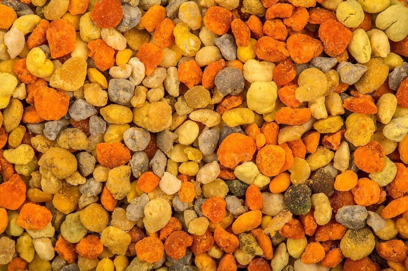 Fresh bee pollen