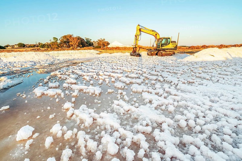 Excavator harvesting sea salt
