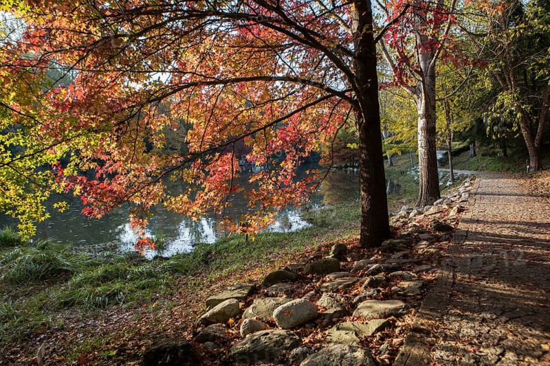 Atatuerk Arboretum