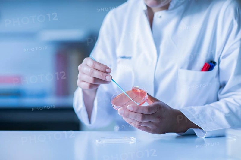 Lab technician with sample in petri dish working in a lab with lab equipment