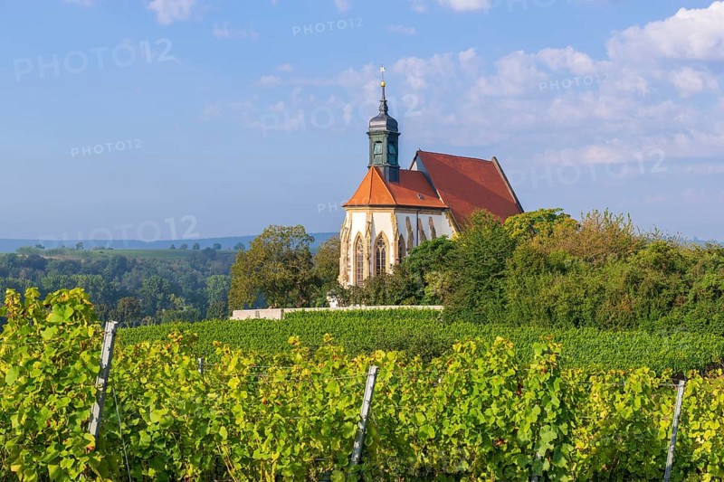 Pilgrimage church Maria im Weingarten