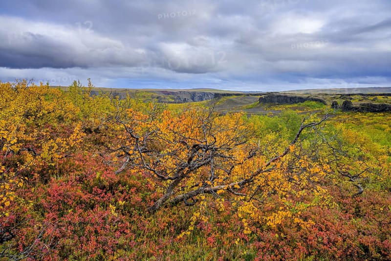 Colourful autumn colours in