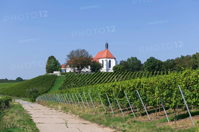 Vineyard with Vogelsburg with church Mariae Schutz