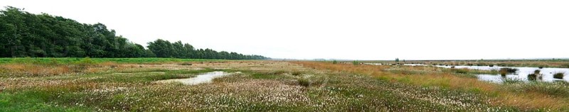 Panorama Esterweger Dose