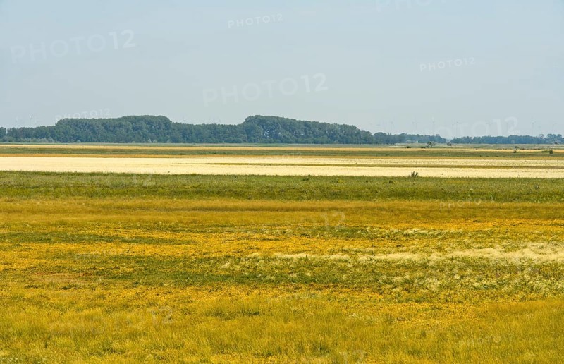 Hut pastures in the conservation zone of the Lange Lacke