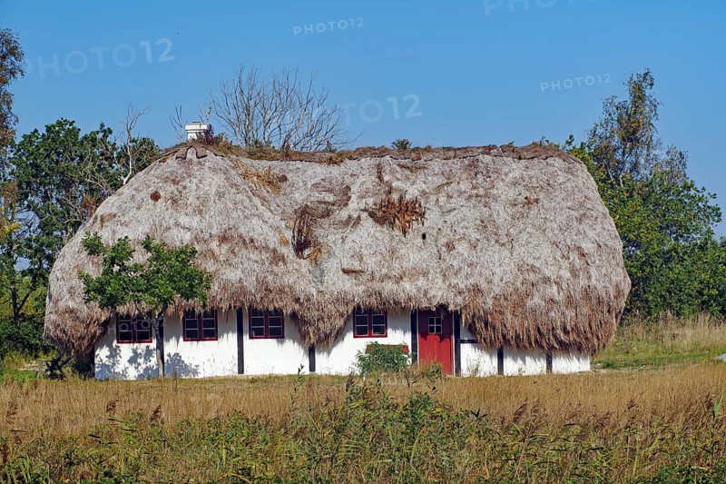 Houses with roofs made of seaweed