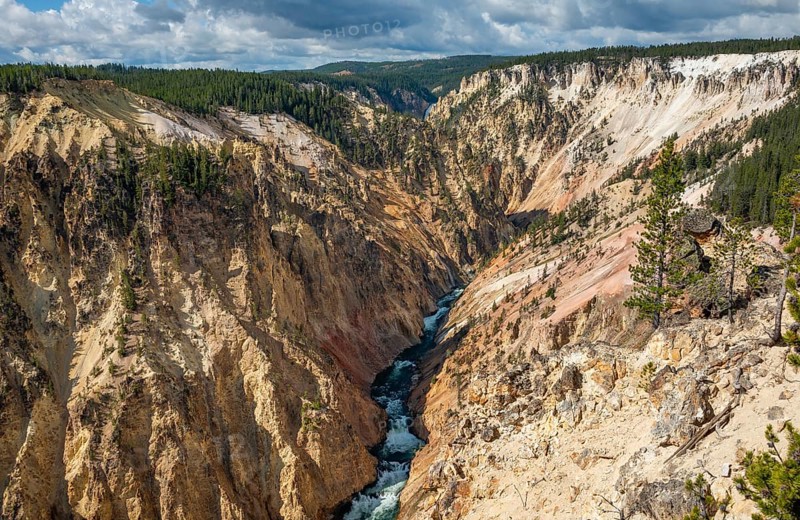 Yellowstone River flows through Gorge