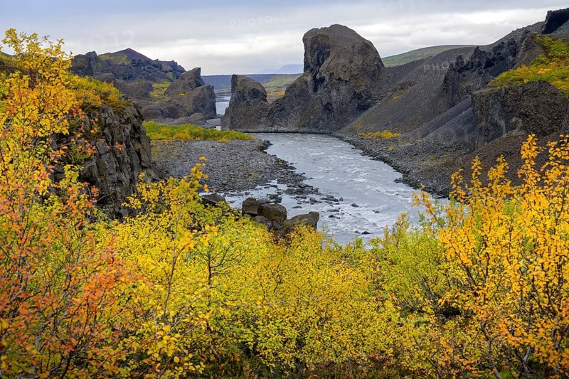 Colourful autumn colours at the basalt formations of Hlooaklettar