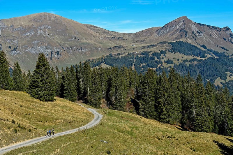 Hikers in the hiking area of Les Diablerets near the village of Les Diablerets