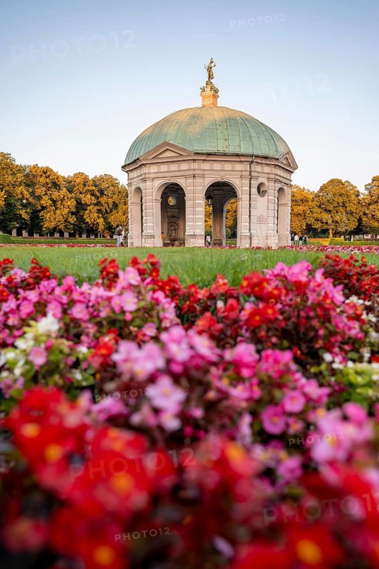 Blooming red flowers in the Hofgarten with the Diana Temple