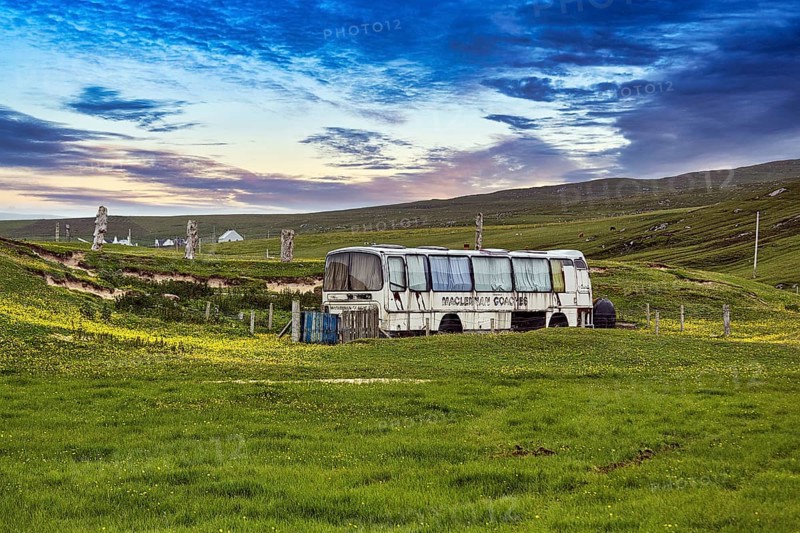 Discarded bus in a meadow