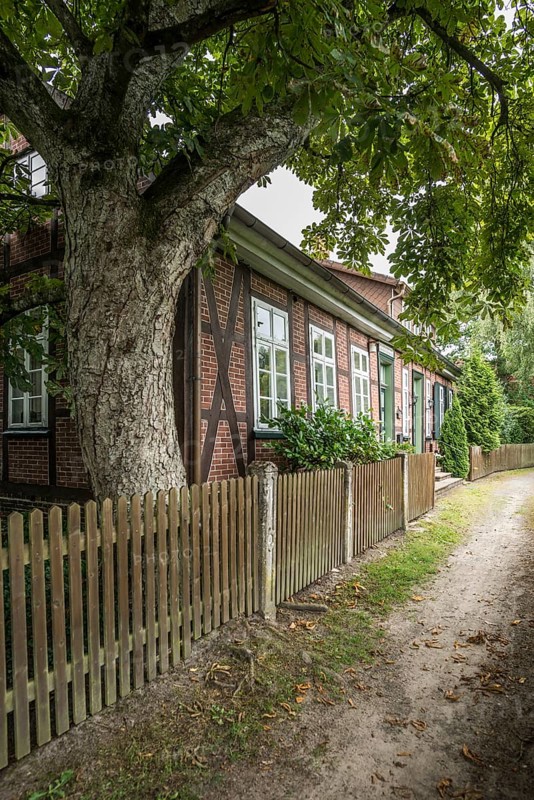 Koesterschule