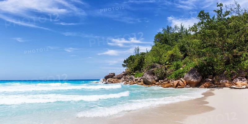 Anse Georgette Beach on Praslin Island with Palm Panorama Sea in the Seychelles