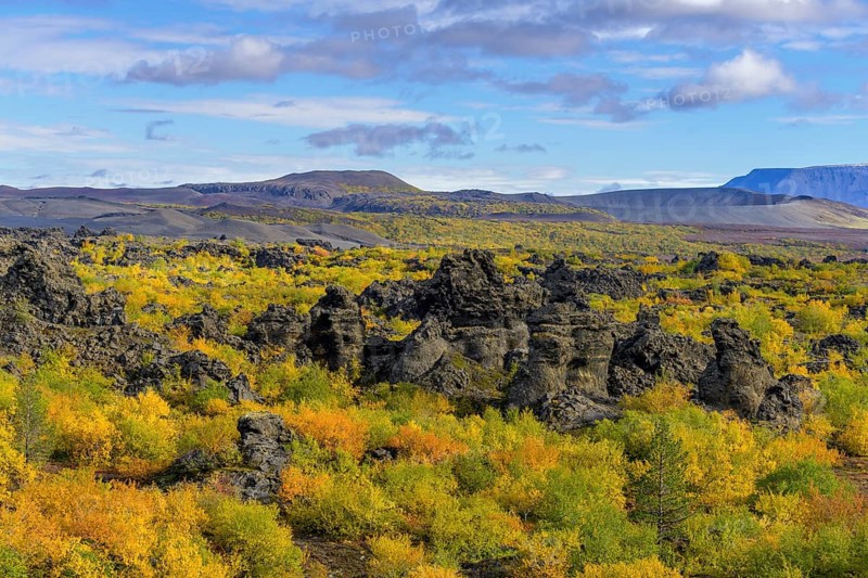 Lava field Dimmuborgir with autumn coloured birch vegetation