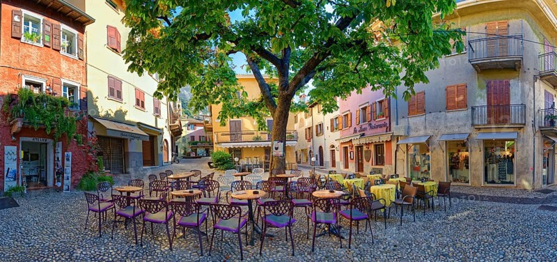 Lovely town square with tree