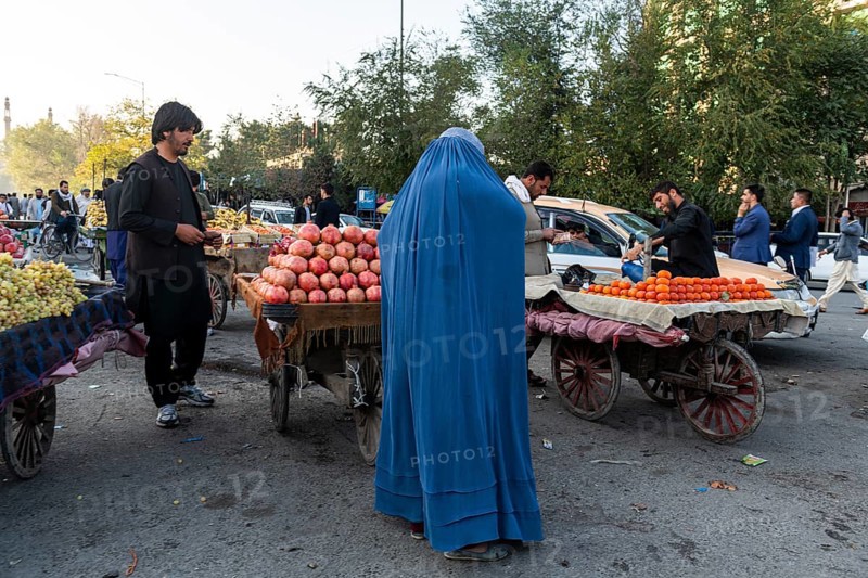 Local shop vendors