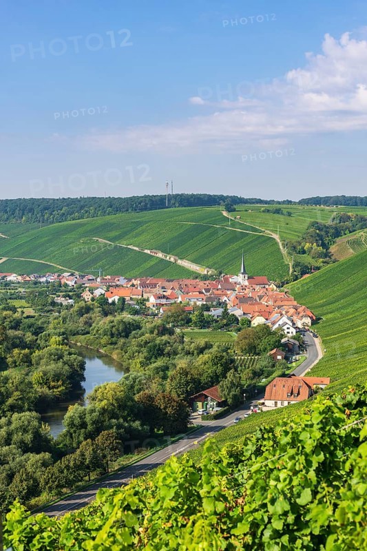 Escherndorf am Main near Volkach