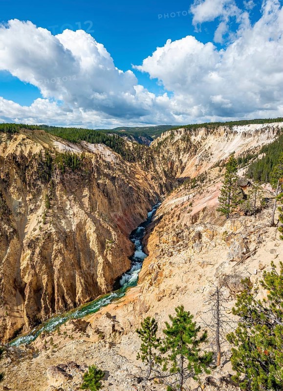 Yellowstone River flows through Gorge