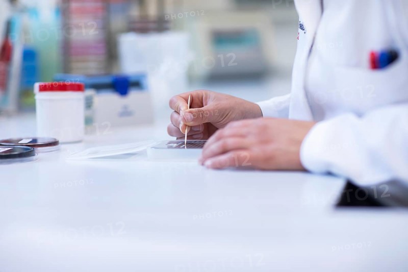 Hand of a lab technician with wooden stick and sample working in a laboratory with laboratory equipment