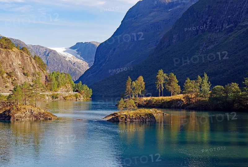 Row of trees reflected in a lake