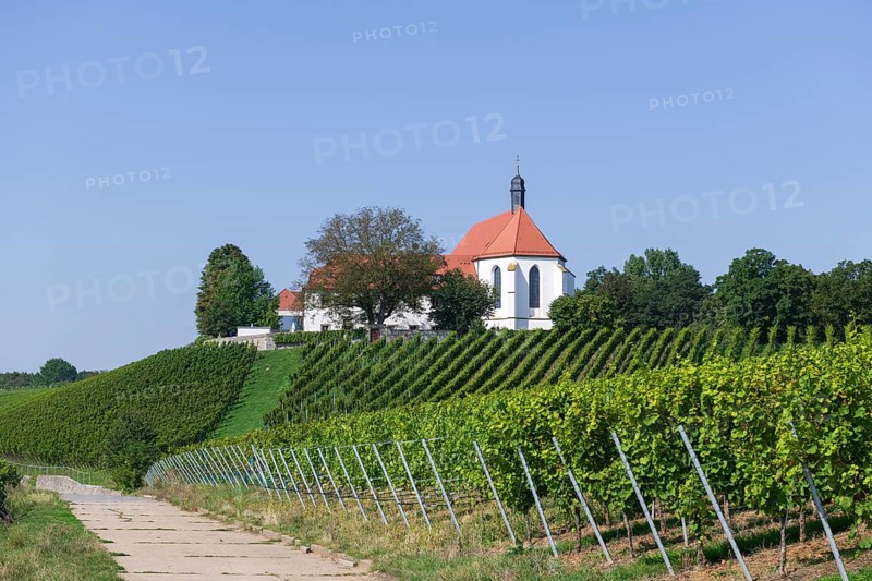 Vineyard with Vogelsburg with church Mariae Schutz