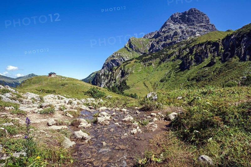 Mountain stream in the Baergunttal