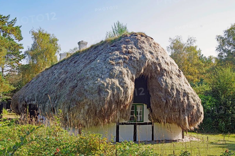 Houses with roofs made of seaweed