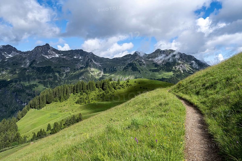 Lonely hiking trail