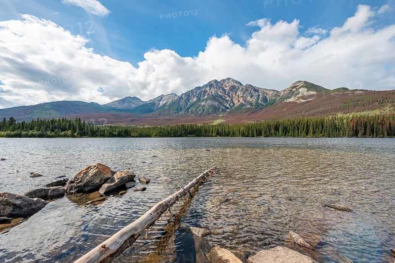 Rocks and tree trunks on the shore of Pyramid Lake