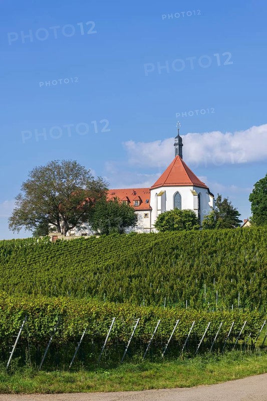 Vineyard with Vogelsburg with church Mariae Schutz
