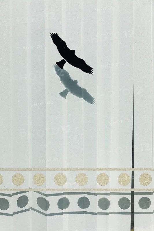 Office window with bird sticker against bird strike