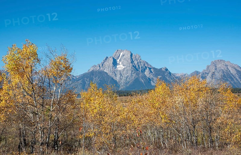 Mount Moran
