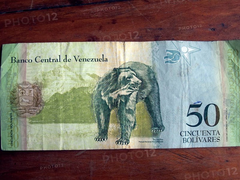 Banknote with Andean Bear