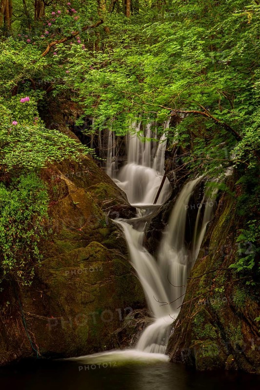 Dyfi Furnace