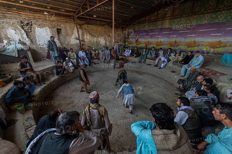 Traditional cockfight in Mazar-E-Sharif