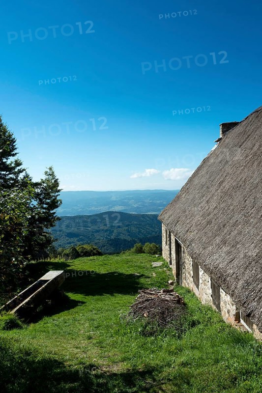 Farm