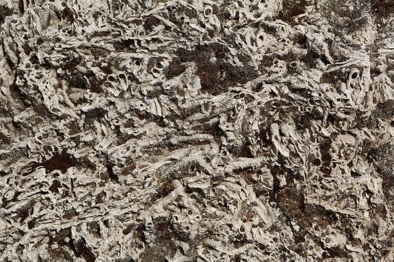 Macro shot detail of stone in Laodikya Ancient Town