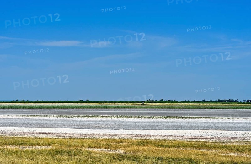 Hut pastures with salt efflorescence in the preservation zone of the Lange Lacke