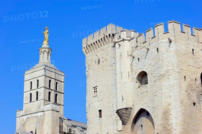 Papal Palace and Cathedral Notre-Dame des Doms