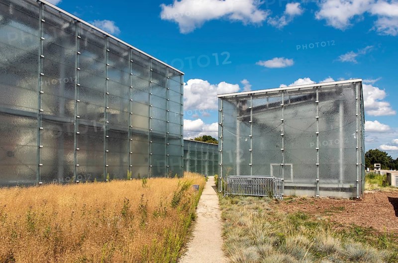 Glass boxes of New Silesian Museum