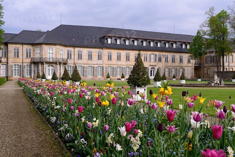 Court Garden