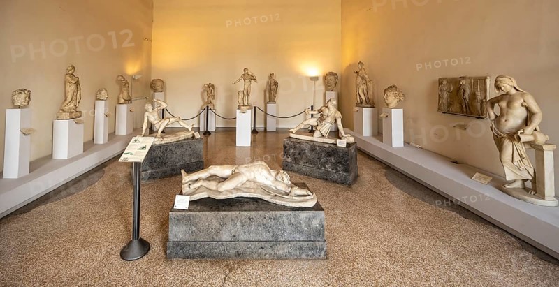 Marble statues in the Museo Correr